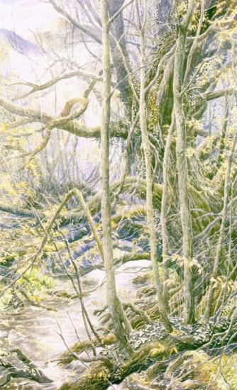 ALAN LEE-0023